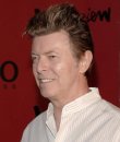 David Bowie  Jemal Countess/WireImage