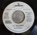 All The Madmen USA promo white label