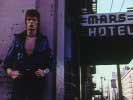 Ziggy at the Mars Hotel