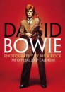 Official David Bowie 2007 Calendar