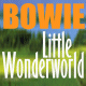 Search BowieWonderworld