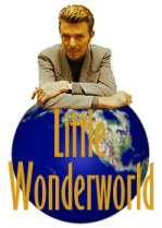 Welcome to David Bowie Wonderworld
