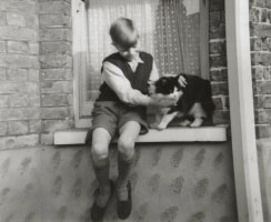 David Jones